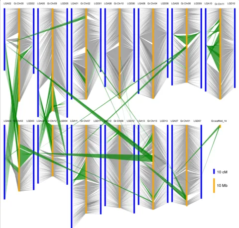 Fig. 2 Comparison of the genetic map of tetraploid cotton and the corresponding physical locations on the pseudo molecules of the D genomesequence of G