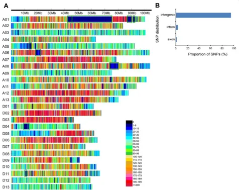 Fig. 3 SNP distribution in the cotton genome. a Distribution of SNPs in the 26 chromosomes