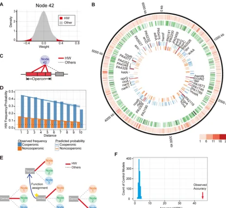 FIG 2 ADAGE weights reflect a gene’s common regulatory and process features. (A) HW genes defined in ADAGE
