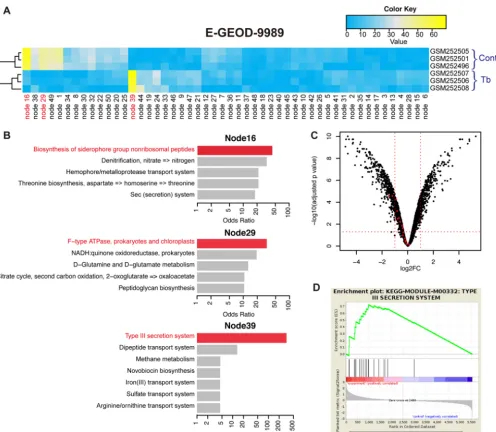 FIG 5 Reanalysis of an existing experiment using ADAGE. (A) Node activity heat map for the data set E-GEOD-9989