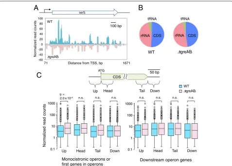 Fig. 2 Comparison of genome-wide transcription in E. coli WT and ΔgreAB cells. (a) A transcription pausing profile of the serR gene