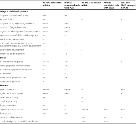 Table 1 Summary of gene annotation enrichment analyses of BRAT- and PUM-associated mRNAs