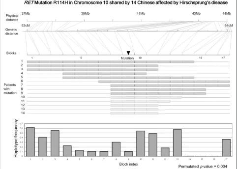 Figure 3 Illustration of an extended haplotype shared by multiple individuals.haplotype in a region composed of 23 SNPs with six LD haplotype blocks