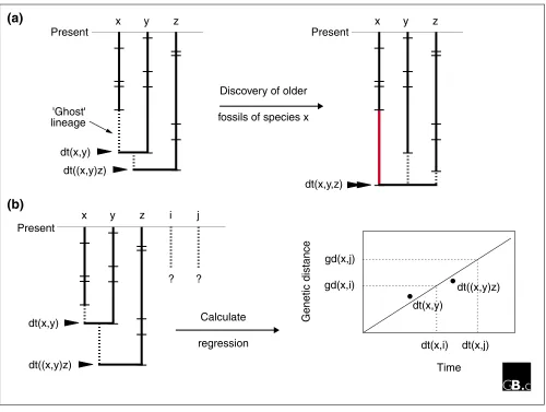 Figure 1Two approaches to dating evolutionary divergence times. Lineages x, y, z, i and j are shown going back (down) from the present day