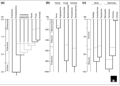 Figure 2Revised chronology of the ‘Tree of Life’. The present is represented by the horizontal line at the top and geological periods are shown on the left withtheir approximate dates