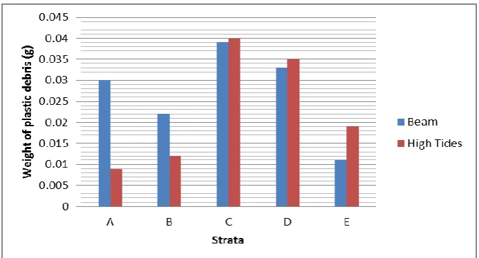 Fig. 2 Weight of plastic debris collected from Port Dickson beach.        