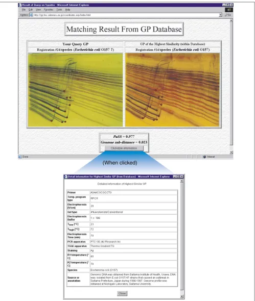 Figure 1Result for a trial of on-web genome profiling. After uploading a genome-profile image and assigning spiddos and then subjecting it to a database search, a