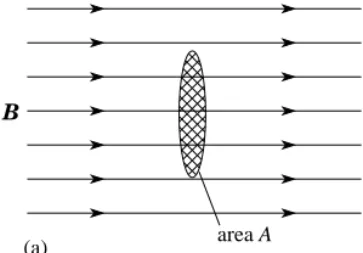 Figure 8a 4A loop of area A in a uniform magnetic field B with the axis of the loop parallel to B.