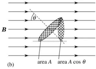 Figure 8a 4A loop of area A in a uniform magnetic field B with the axis of the loop parallel to B.
