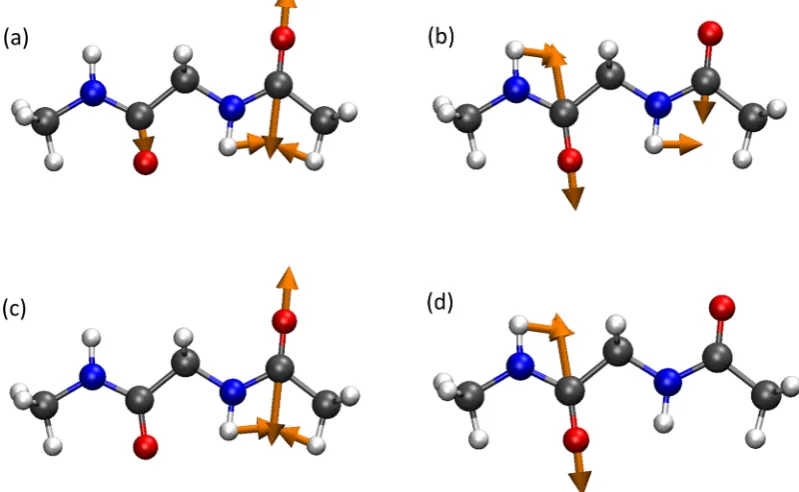 Figure 2. Amide I vibrational modes of diamide NAGNMA, computed from a B3LYP/6-311++G** calculation: (a, b) normal modes and (c, d)local modes.