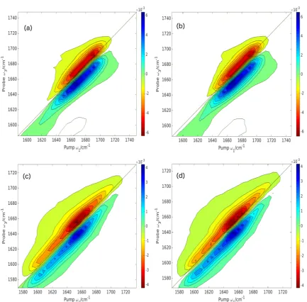 Figure 6. Computed full absorptive 2DIR spectra for the ZZZZ pulse polarization scheme incorporating averaging over conformation for (a) DKP,empirical; (b) DKP, local mode; (c) GANHMe, empirical; and (d) GANHMe, local mode