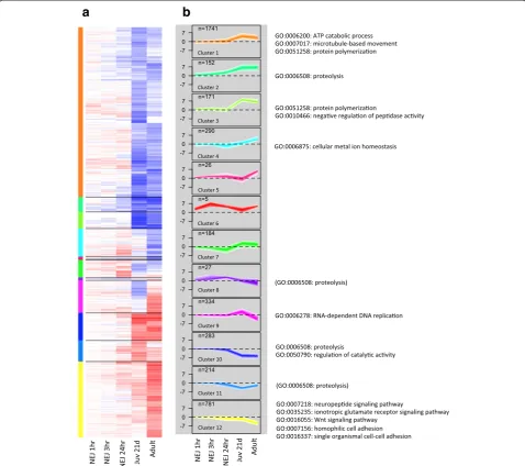 Figure 3 Expression of genes exhibiting at least a 16-fold difference in expression between any two developmental stages and grouped byhierarchical clustering