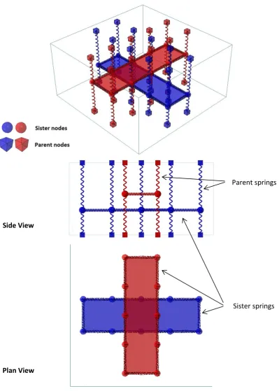 Figure 2: Initial nodal network for two non-intersecting fibre bundles 