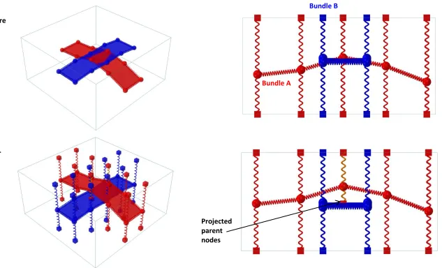 Figure 4: Schematic of edge-surface intersection before and after intersection-elevation algorithm is applied (parent nodes and springs removed in top right image for clarity) 