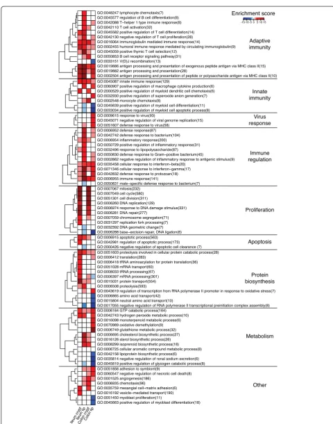 Figure 3 Microbiota-responsive gene functions in different locations of the gut epithelium