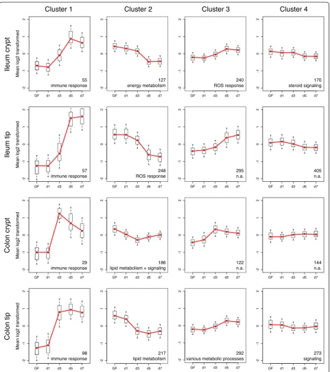 Figure 6 Clustering of microbially altered genes according to their responses during colonization of GF mice