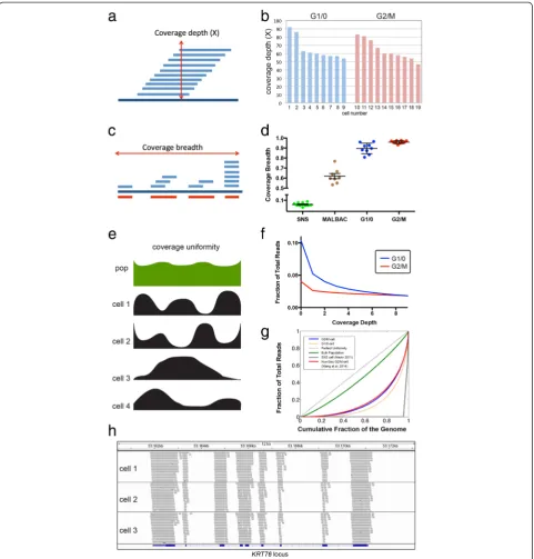 Figure 2 Coverage performance and metrics. (a) Coverage depth diagram. (b) Coverage depth data for G1/0 and G2/M single cells