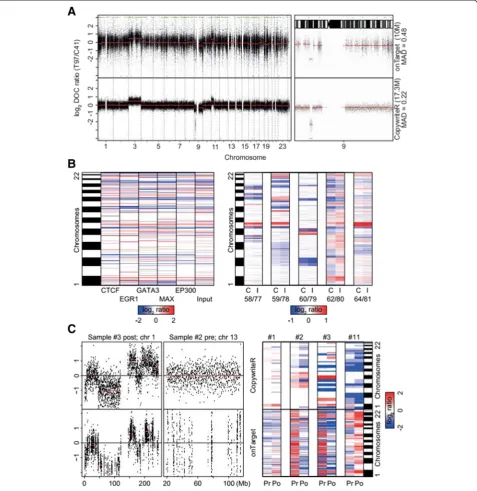 Figure 5 CopywriteR is widely applicable. (A) Sample T97 (FFPE) was subjected to WES, and copy number profiles relative to C41 (fresh frozenreference material) are displayed for onTarget and CopywriteR methods, with segmentation values (CBS) depicted in re