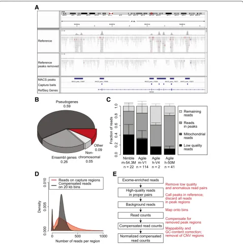 Figure 1 Copy number information can be obtained from off-target reads. (A)example of a genomic region with sequence reads mapping to the genome before and after removal of reads in Model-based Analysis forChIPseq (MACS) called peaks