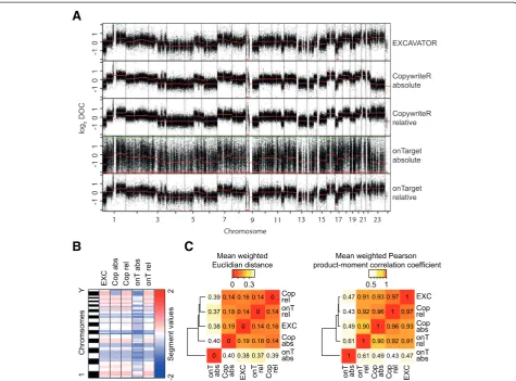 Figure 4 Copy number detection in the absence of a reference. (A)melanoma PDX sample T99, either with or without C43 as a reference