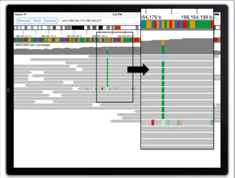 Figure 2 DNA sequencing data. Color is used to highlight variant bases in the grey bars representing aligned reads