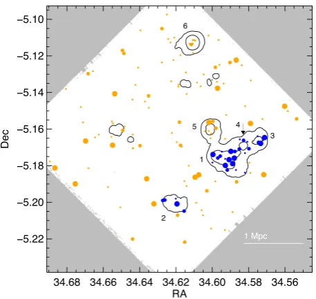 Figure 1. The distribution of massive group (blue circles) and intergroupcircles are proportional to the stellar mass of the galaxy with larger symbols(orange circles) galaxies within the protocluster at z = 1.6233