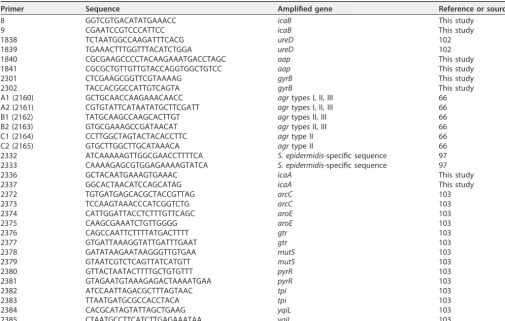 TABLE 3 Primers used in this study
