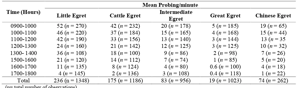 Table 2: Comparison of probing activity per minute
