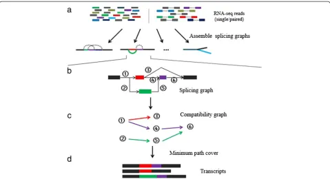 Figure 1 Flowchart of Bridger. (a)in a splicing graph represents one splice junction. In this example, edges 1 and 3 are compatible, while edges 3 and 4 are not compatible.(c)overlapping sequence reads and The algorithm takes RNA-seq reads (single or paire