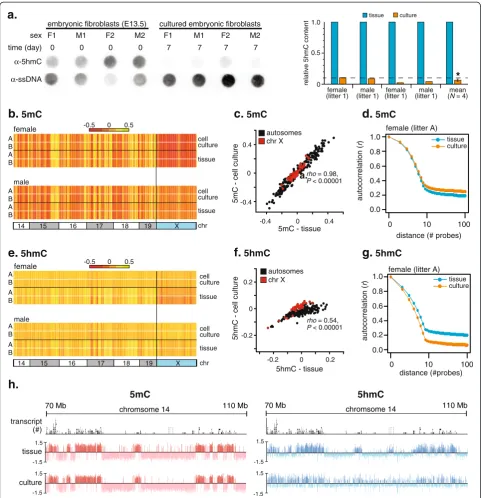 Figure 2 Cell culture-induced 5hmC loss occurs genome-wide and does not reflect changes in 5mC