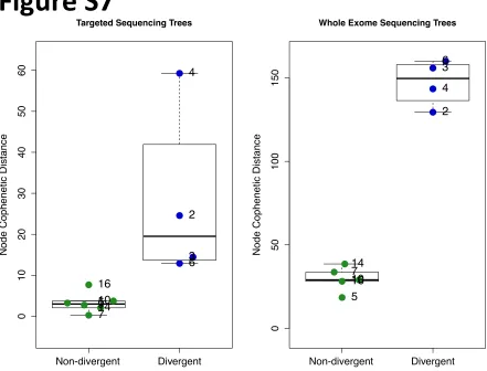 Figure S7. Measure of phylogenetic divergence. The level of phylogenetic divergence quantified using the Node Cophenetic Distance confirmed the high level of divergence in the divergent cases, both for TES as well as WES data