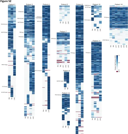 Figure S2. Mutation cancer cell fractions from whole-exome sequencing. Heatmaps indicate cancer cell fractions of mutations in all whole-exome sequencing samples per patient