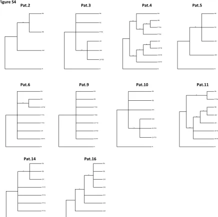 Figure S4. Bootstrap values for targeted sequencing phylogenetic trees. Bootstrap values of phylogenetic trees reconstructed with maximum parsimony for each patient from mutations validated with TES
