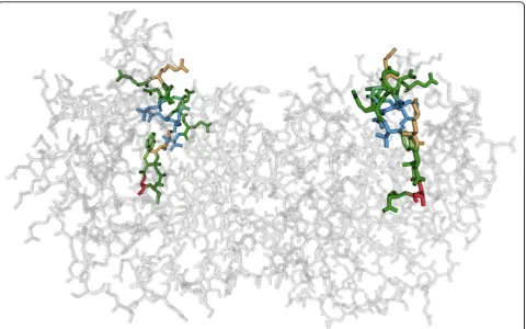Figure 5 3D all atom visualization of the folded protein. The structure is linked to the sequence by color-coding the residues that arecurrently in the focus region of the sequence view.