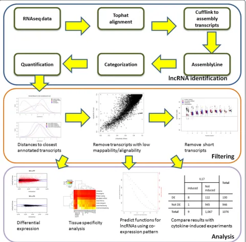 Figure 1 Overview of the analysis pipeline. We first performed Tophat alignment and identified uniquely mapped reads for each RNA-seqsample, we then assembled the transcripts using Cufflinks for each sample