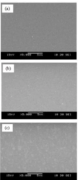 Fig. 3: SEM images of surface morphology of the Ni-Au metal layers on the Mg dopedGaNsample  at different annealing temperature