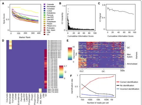 Figure 2 Information-based index of cell identity robustly assigns cell type to single cells
