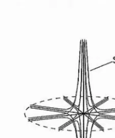 Figure 2.1; The structure of the field lines near a linear proper radial null.