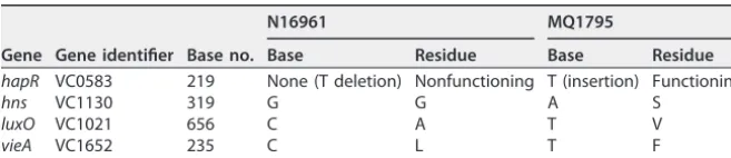 TABLE 1 SNPs previously identiﬁed in MQ1795 by next-generation deep sequencinga