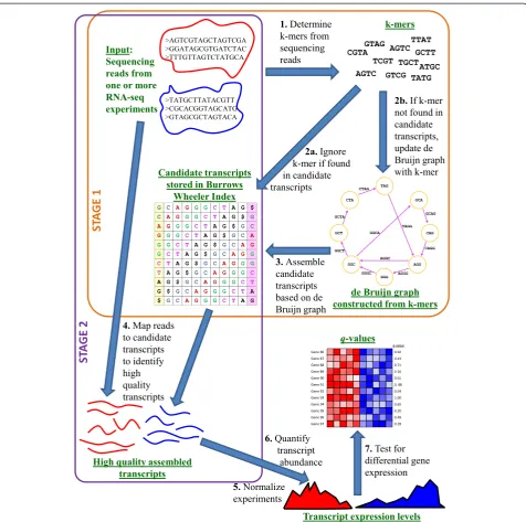 Figure 1 Rockhopper 2 workflow depicting the various phases of Rockhopper 2’s analyses