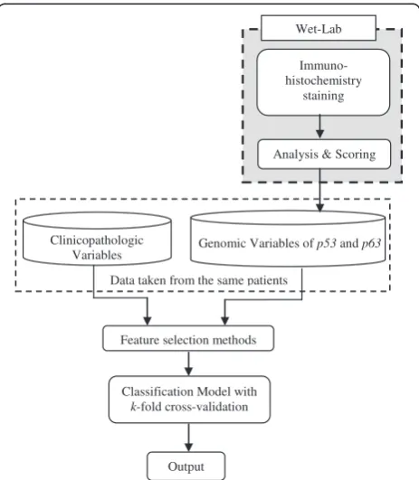 Figure 1 Framework for oral cancer prognostic model.