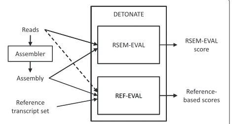 Figure 1 The DETONATE package workflow. The DETONATEpackage consists of two components: RSEM-EVAL and REF-EVAL.Combined, these two components allow for the computation of avariety of evaluation scores for a de novo transcriptome assembly.RSEM-EVAL produces