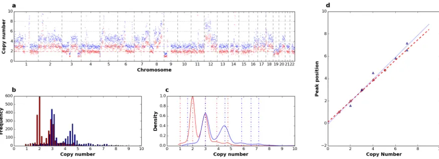 Fig 6. Determination of single cell ploidy. Analysis of one single cell from the near-diploid cell line NCI-H23 analyzed using a main ploidyof 2 (red) and 3 (blue): a) copy number profiles along 22 chromosomes; b) copy number levels distribution; c) density estimated by KDE;peaks detected are indicated as dashed vertical lines; d) linear regression of peak values over putative underlying copy numbers: clearly peaksobtained with a main ploidy of 2 better approximate the regression line compared to those obtained at a main ploidy of 3.