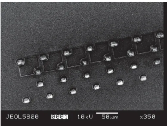 Figure 3.1. SEM of sample 5 after membrane fabrication. 