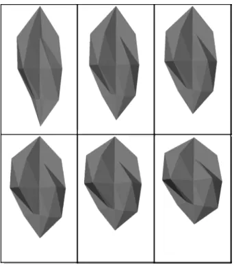 Figure 10. Muscle extension sequence