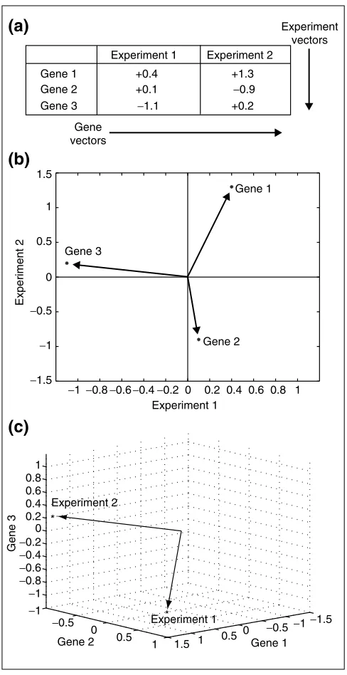Figure 1 Two transcription profiles of three genes are shown. Rowstypical profile comparison, gene vectors are plotted in two dimensions,where the axes represent the experiments and the points are the genes.Data from (a) are plotted