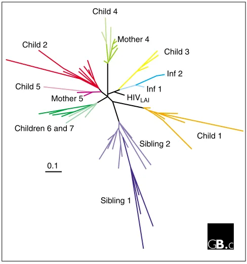 Figure 2HIV-1 protease sequences are heterogeneous. Nucleotide sequencesfrom protease quasispecies in peripheral blood mononuclear cells frominfected children and adults were analyzed by constructing a phylogenetictree