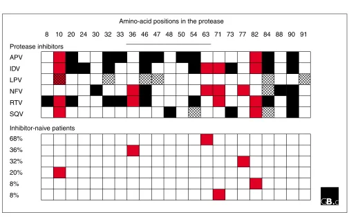 Figure 7The impact of mutations in the Gag-Pol polyprotein on protease activity.alter the rates of protease processing at different cleavage sites (greencircles: our unpublished data; black circles: summary of published data.The letters above the diagram i