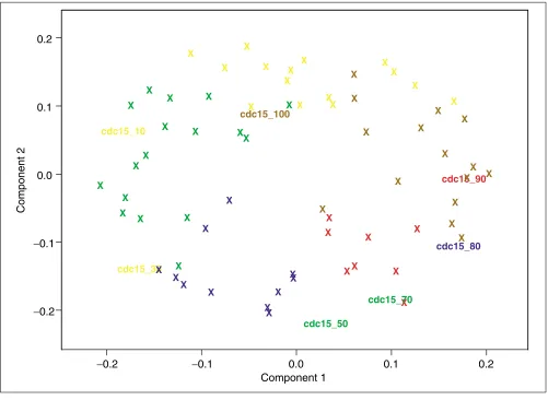 Figure 2PCA of the cell-cycle data. Plot of the first two components’ loadings against each other