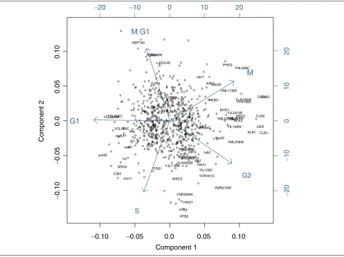 Figure 3PCA of the grouped cell-cycle data. Biplot of gene scores and cell-cycle phase group loadings according to the first two components of the PCA